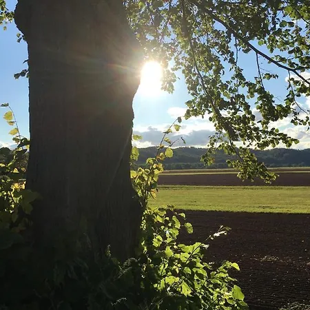 Lausbuben & Zicken - Im Gruenen Herzen Deutschlands *