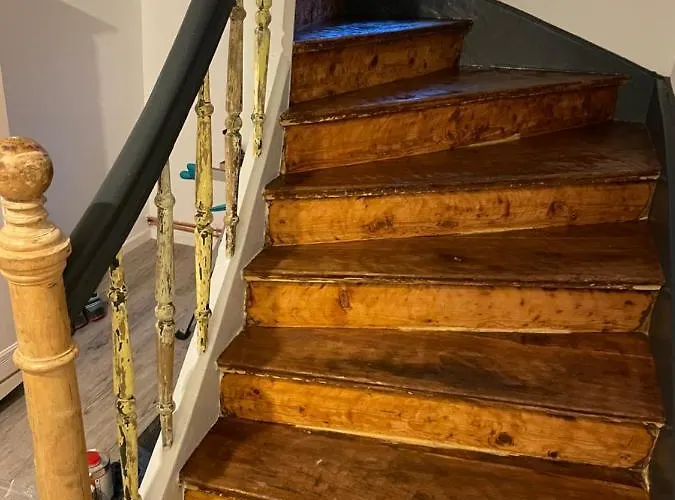 Lausbuben & Zicken - Im Gruenen Herzen Deutschlands *