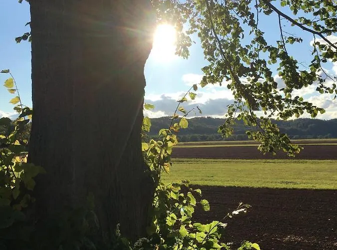 Lausbuben & Zicken - Im Gruenen Herzen Deutschlands *
